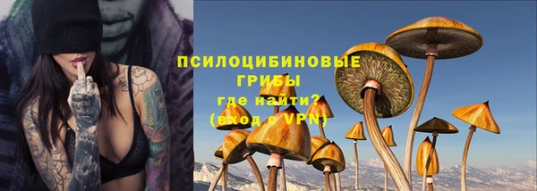 винт Горно-Алтайск
