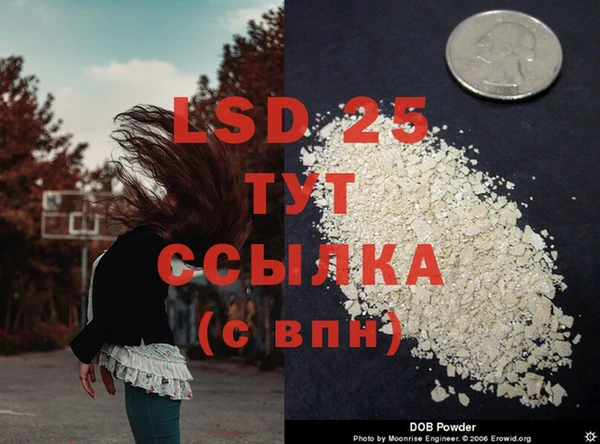 mdpv Костерёво