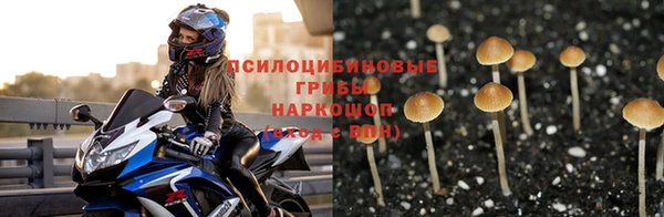 Альфа ПВП Корсаков