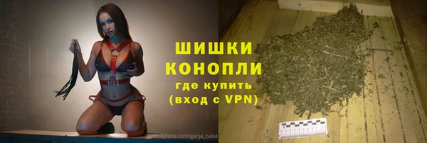 винт Горно-Алтайск