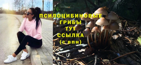 MDMA Горнозаводск