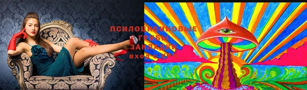 Альфа ПВП Корсаков